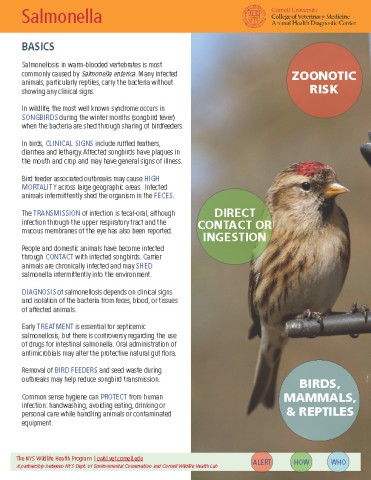 Thumbnail of Fact sheet; click image to download PDF